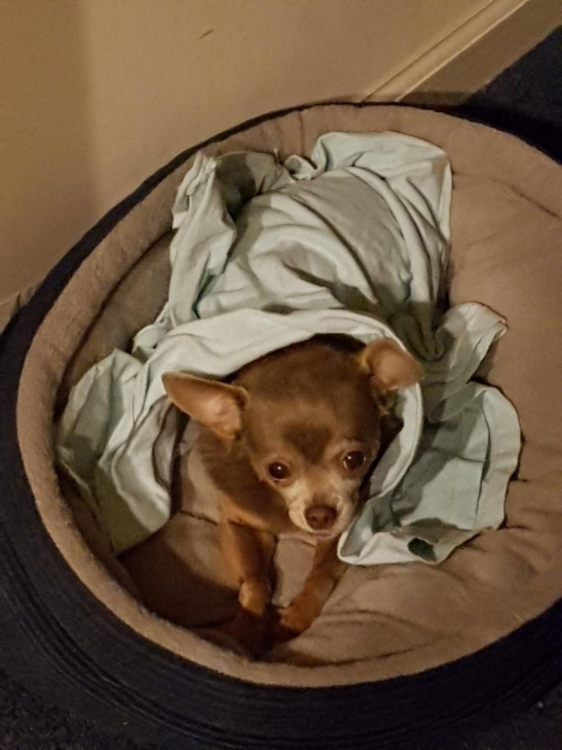 Enchilada